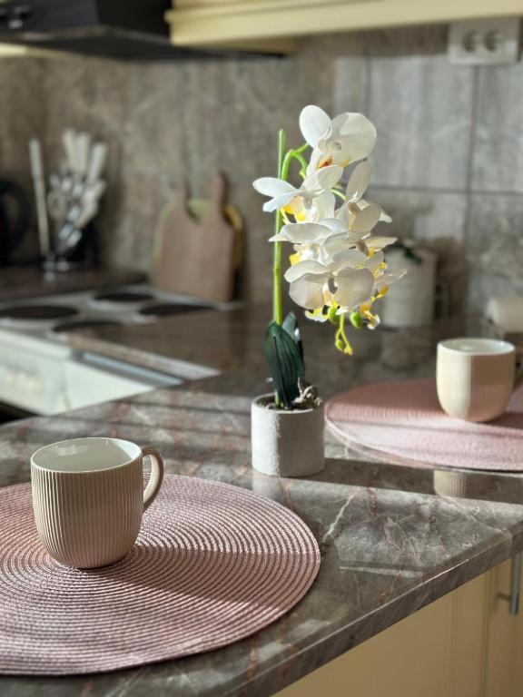 Adel'S Apartment ซูโบติกา ภายนอก รูปภาพ